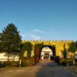 Картинка профиля